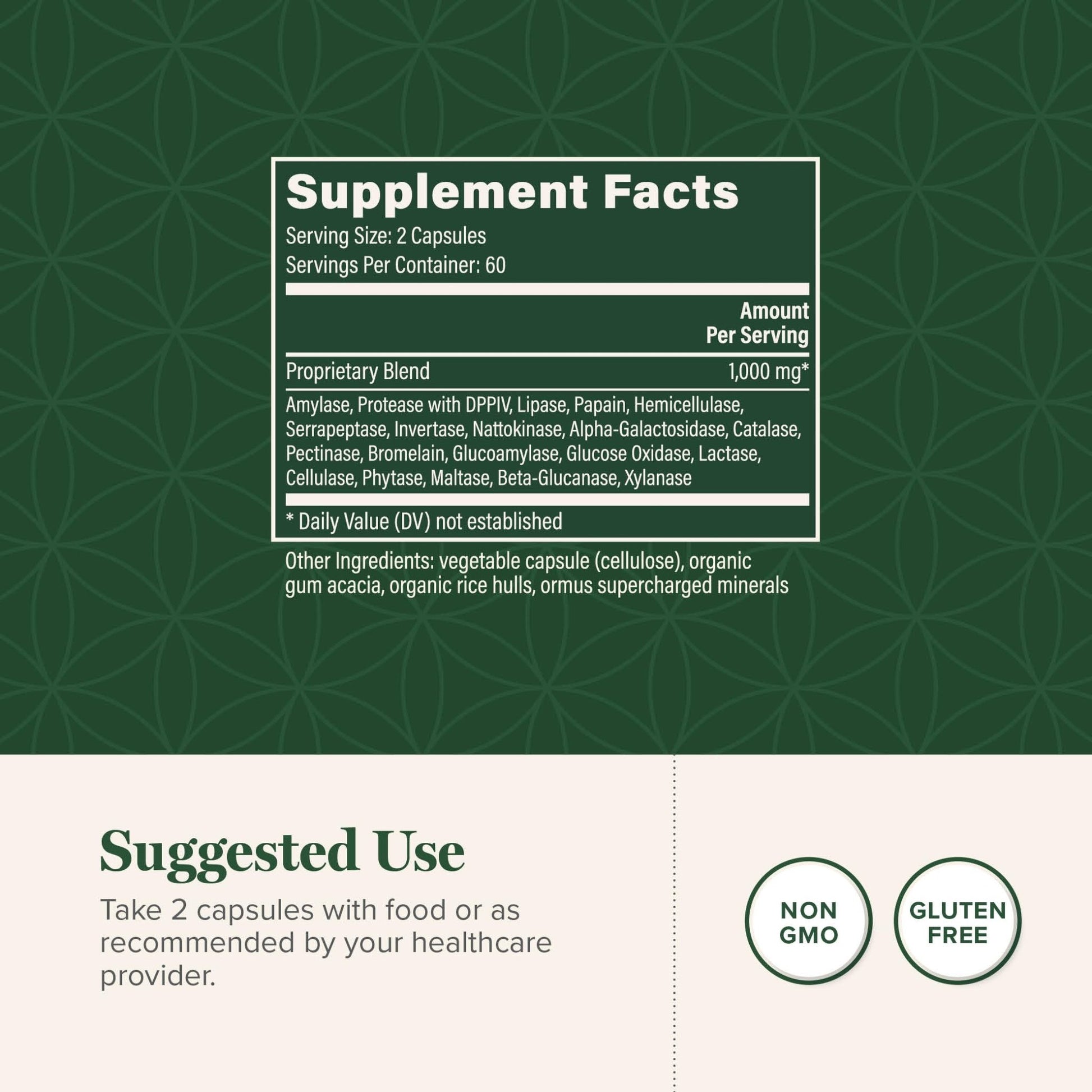 Global Healing - Ultimate Enzymes - Systemic & Digestive Enzymes Supplement for Healthy Digestion, Immune System Boost & Natural Gut Health, Digestive Enzyme for Women & Men, Lipase - dailyvitalstore