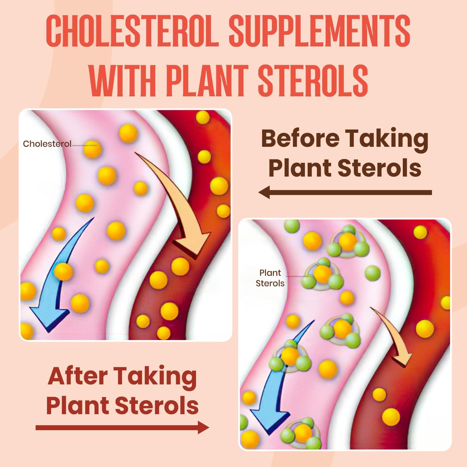 Glorithiventa Cholesterol & Booty Gummies Supplement Bundle - Plant Sterols & Stanols + CurvaBoost BBL Herb Blend & Creatine Monohydrate - Cholesterol Normal Level, Booty, Curves & Energy - dailyvitalstore