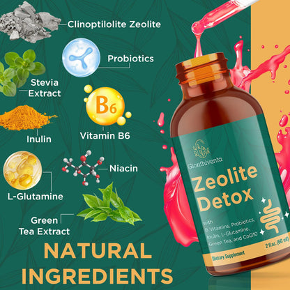 Glorithiventa Zeolite Detox for Adults, Zeolite Liquid Drops with Vitamin B, Probiotic Blend - Energy, Gut, Focus - 2 Fl Oz (1 Bottle) - dailyvitalstore