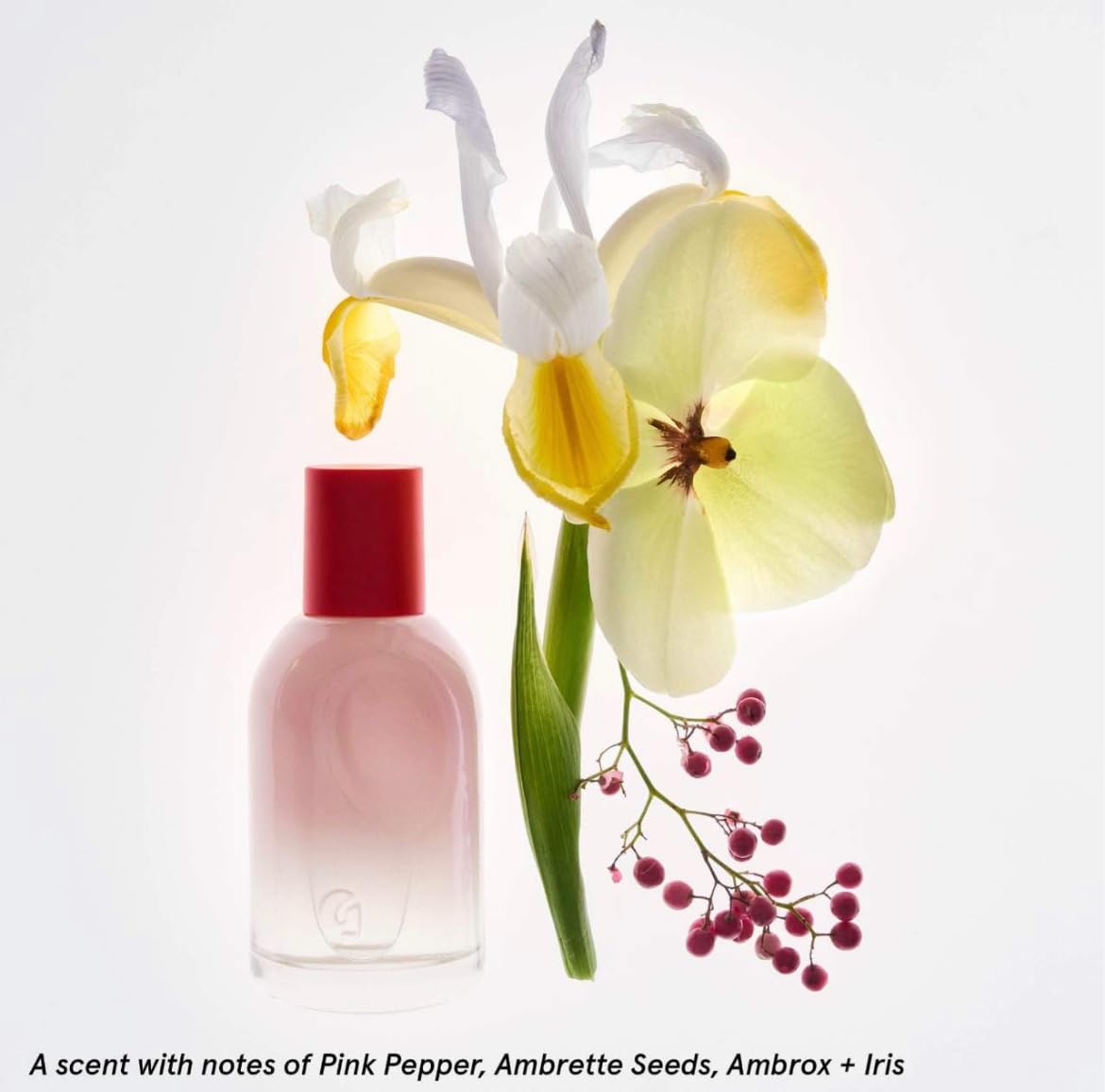 Glossier You Limited Edition Two of You Eau de Parfum Holiday Gift Set - Full Size Spray (1.7oz / 50ml) and Travel Size Rollerball (0.27oz / 8ml) - dailyvitalstore