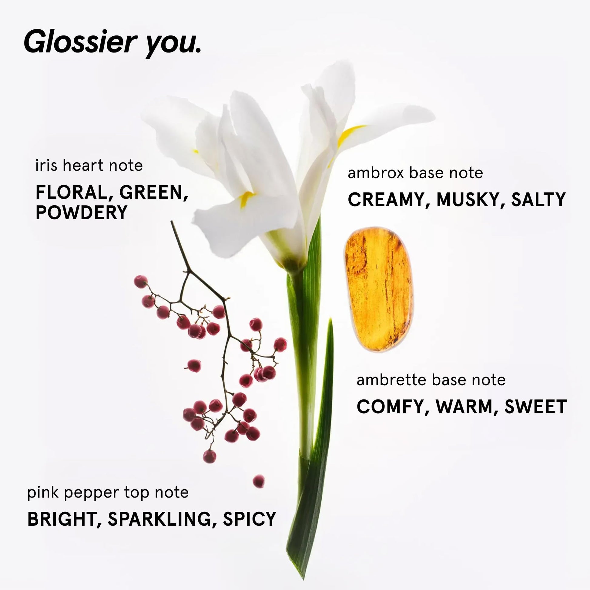 Glossier You Solid Perfume - Unisex Fragrance for Women & Men in Refillable Compact, Alcohol-Free Balm Melts Into Skin - Buildable Warm & Spicy Scent Pink Pepper, Iris, Ambrox - Travel-Friendly, 3g - dailyvitalstore