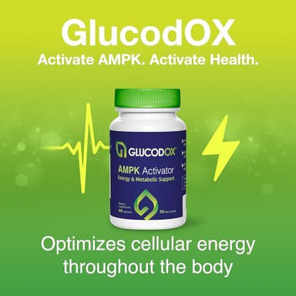 GlucodOX AMPK Activator Supplement – AMPK Enzyme, Metabolism Booster, Guggul Supplement for Body Management & Longevity – Vegan Metabolic Support - 30 Day Supply (60 Capsules) - dailyvitalstore