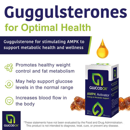 GlucodOX AMPK Activator Supplement – AMPK Enzyme, Metabolism Booster, Guggul Supplement for Body Management & Longevity – Vegan Metabolic Support - 30 Day Supply (60 Capsules) - dailyvitalstore