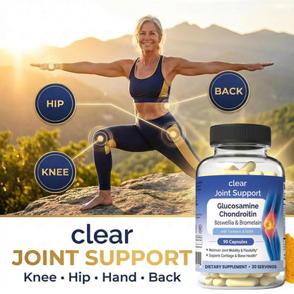 Glucosamine Chondroitin MSM with Turmeric & Boswellia 540 Capsules | 8-in-1 Joint Support Supplement for Flexibility & Mobility | Joint Supplement for Men & Women – Supports Back, Knees, Hips & Joints - dailyvitalstore