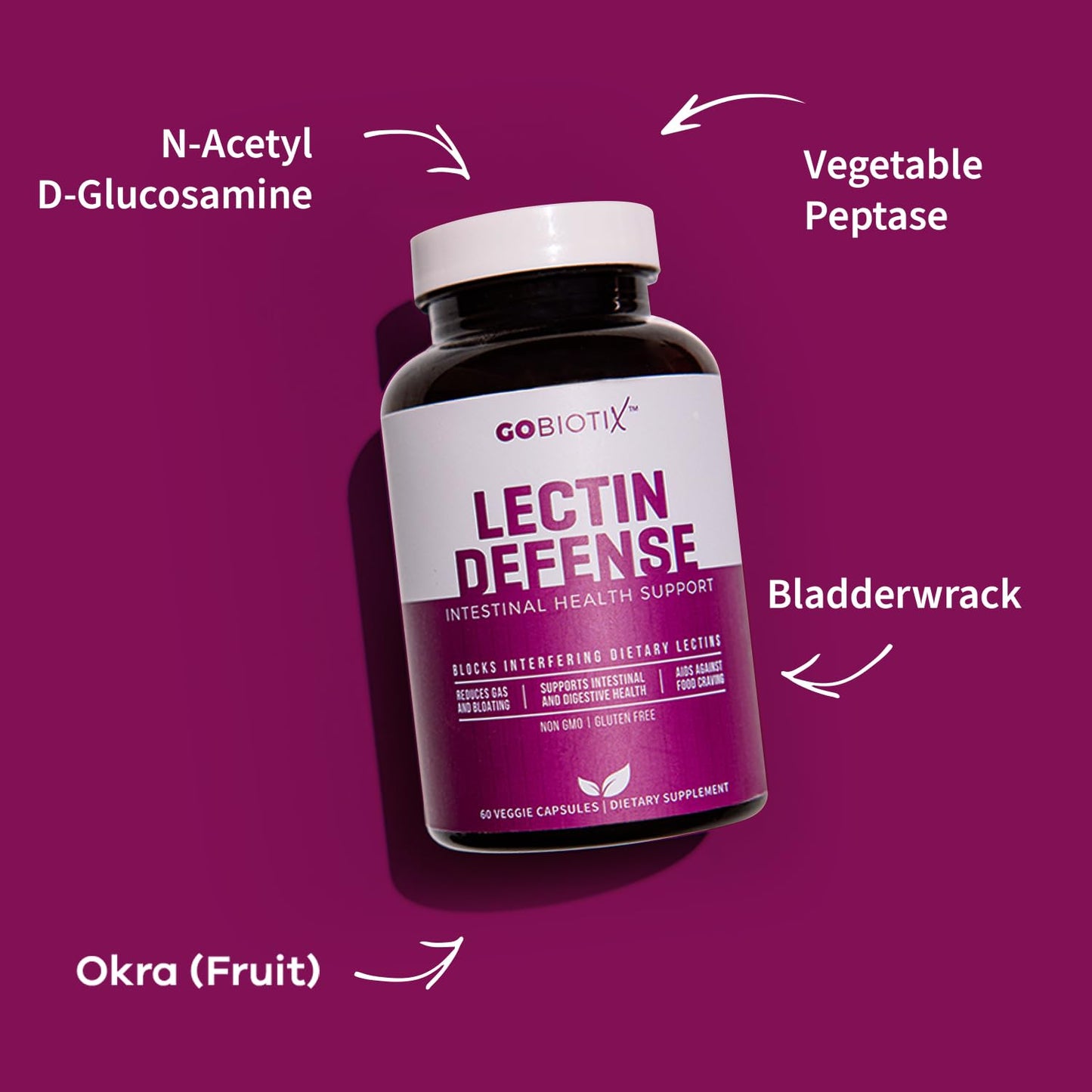 GOBIOTIX Lectin Defense - Lectin Blocker Supplement for Leaky Gut with MSM and Digestive Enzymes - Aids in Intestinal Health for Women and Men - Non-GMO - dailyvitalstore