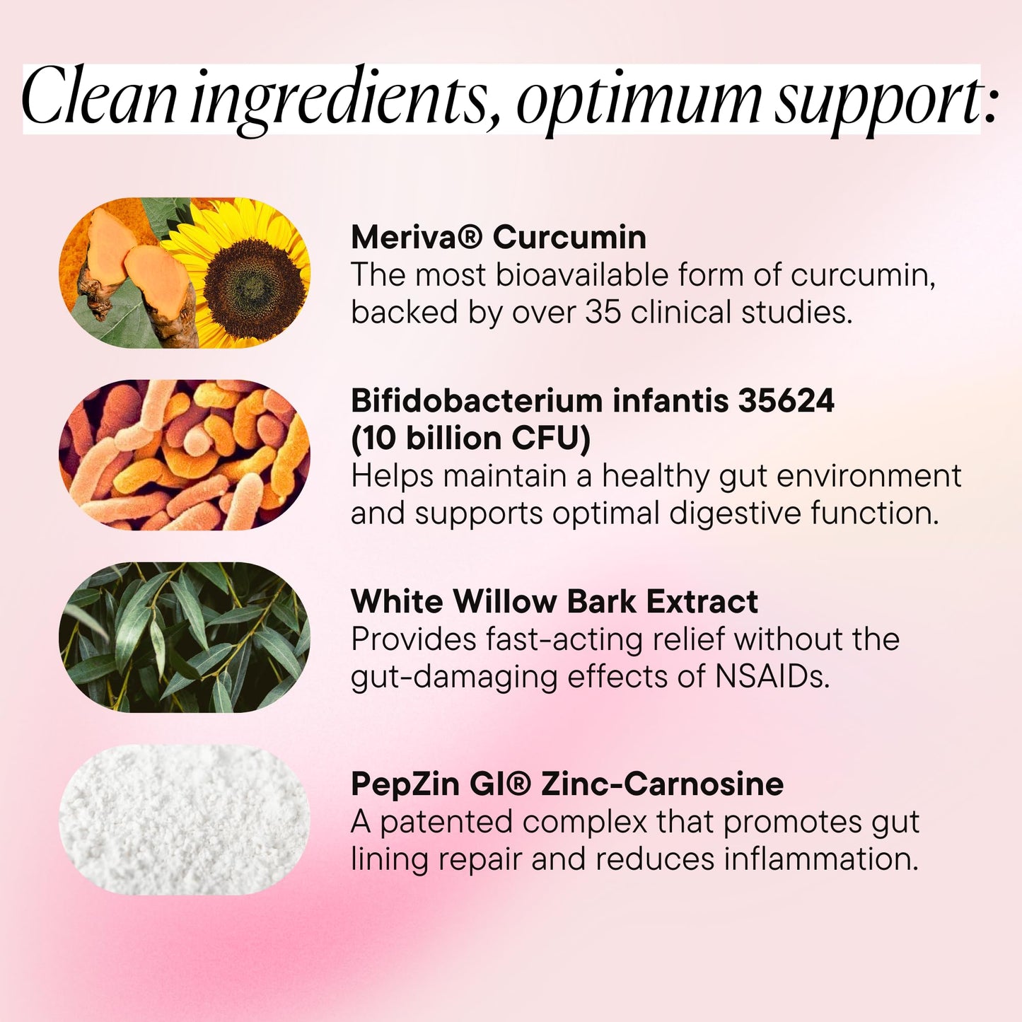 Goodness Lover Inflammation Pro, with 10 Billion CFU for Digestive Support, Curcumin, White Willow bark Extract, Zero fillers, Vegan, 30 Servings - dailyvitalstore
