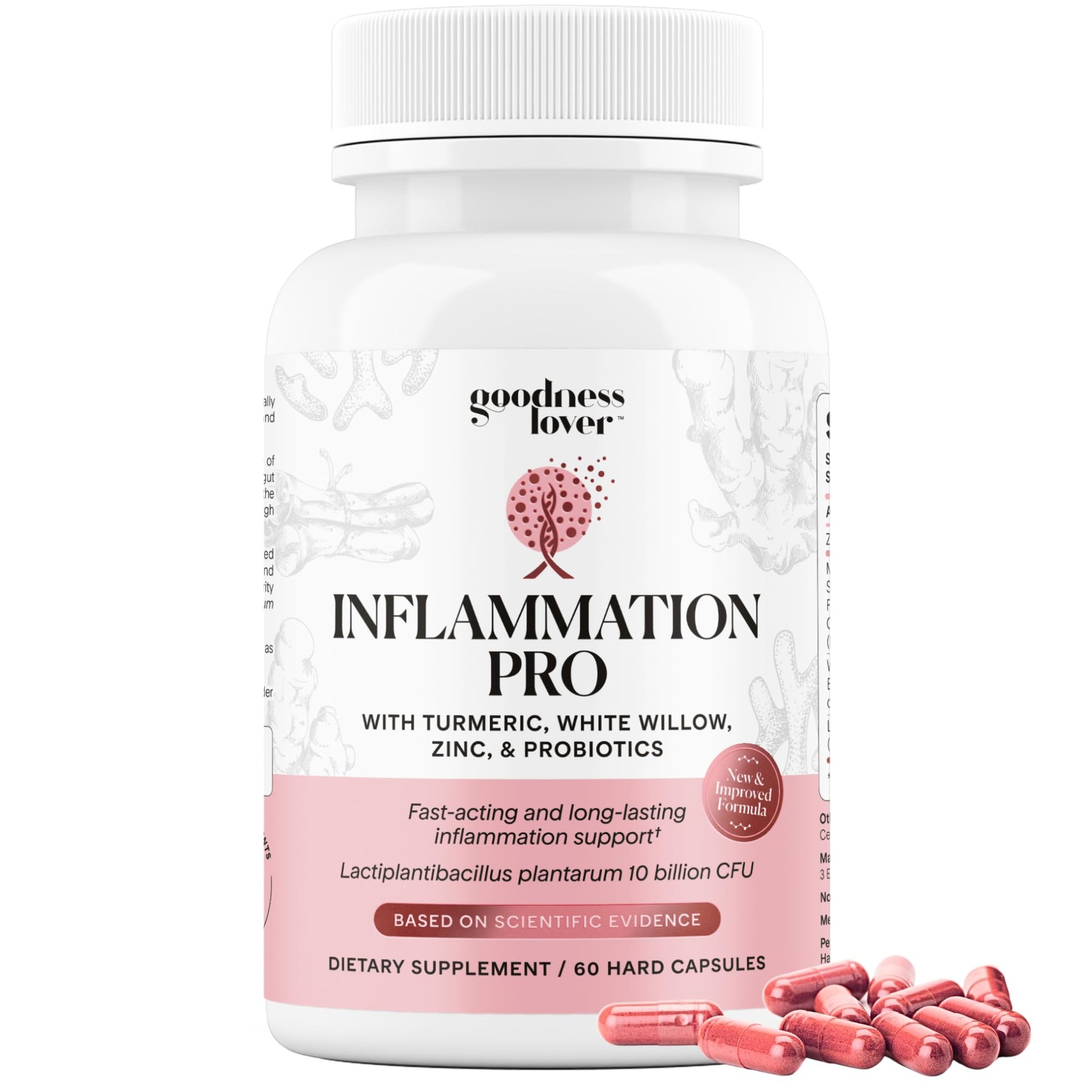 Goodness Lover Inflammation Pro, with 10 Billion CFU for Digestive Support, Curcumin, White Willow bark Extract, Zero fillers, Vegan, 30 Servings - dailyvitalstore