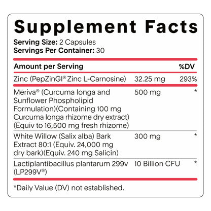 Goodness Lover Inflammation Pro, with 10 Billion CFU for Digestive Support, Curcumin, White Willow bark Extract, Zero fillers, Vegan, 30 Servings - dailyvitalstore