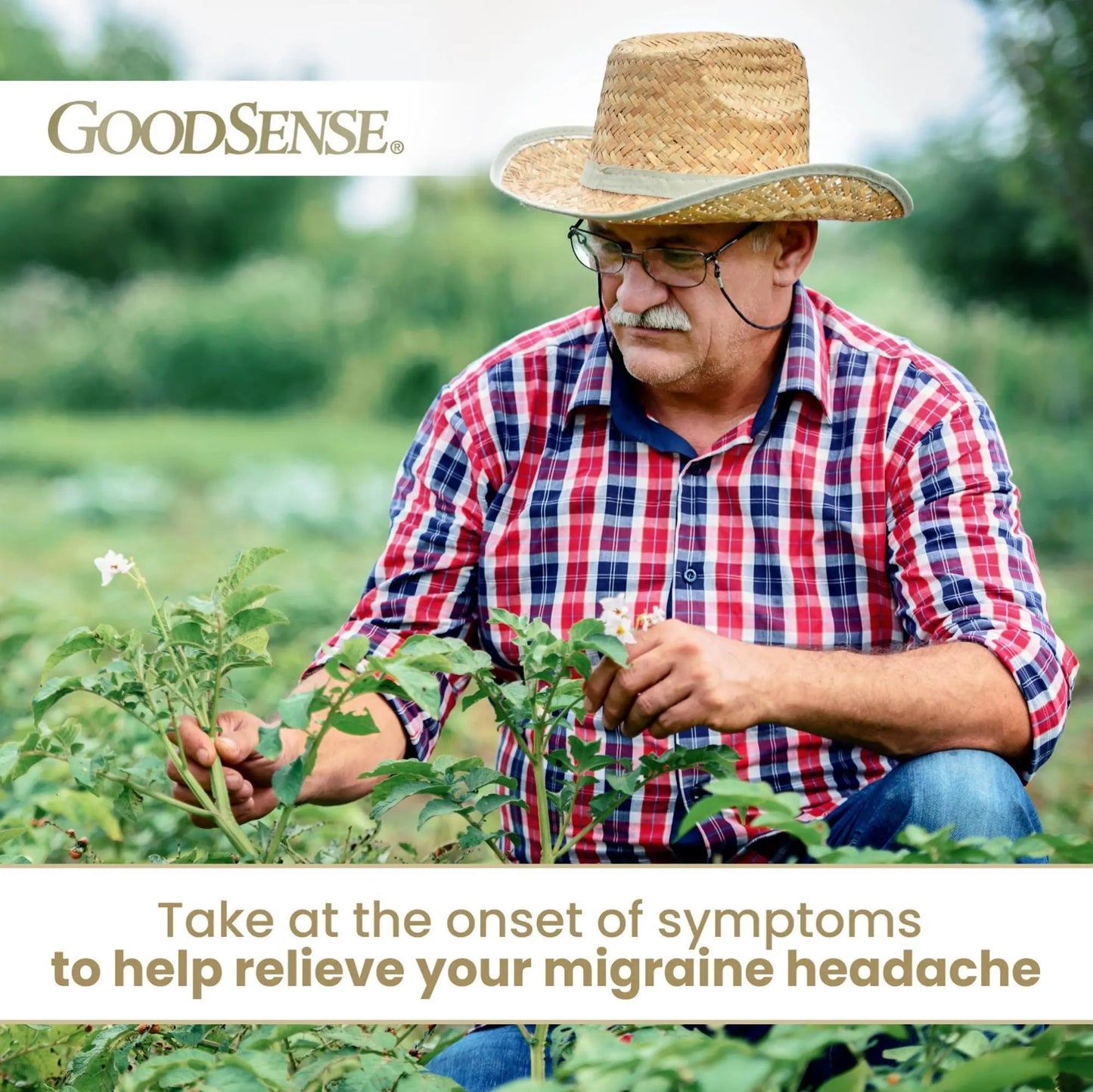 GoodSense Migraine Relief Geltabs, Acetaminophen, Aspirin (NSAID) and Caffeine, 80 Count - dailyvitalstore