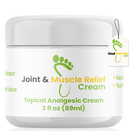 Gout and You Joint & Muscle Relief Cream - Fast Acting Joint Discomfort and Muscle Ache Relieving Rub with Arnica/Ilex Leaf Extract, Aloe Vera and Tea Tree Oil - dailyvitalstore