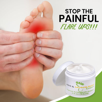 Gout and You Joint & Muscle Relief Cream - Fast Acting Joint Discomfort and Muscle Ache Relieving Rub with Arnica/Ilex Leaf Extract, Aloe Vera and Tea Tree Oil - dailyvitalstore