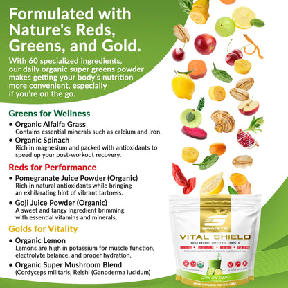 Granite Nutrition Vital Shield - USDA Organic Superfood Greens with Mushrooms & Tart Cherry – Supports Energy, Immune Function & Digestive Health – Lemon Lime Flavor (30 Servings) - dailyvitalstore