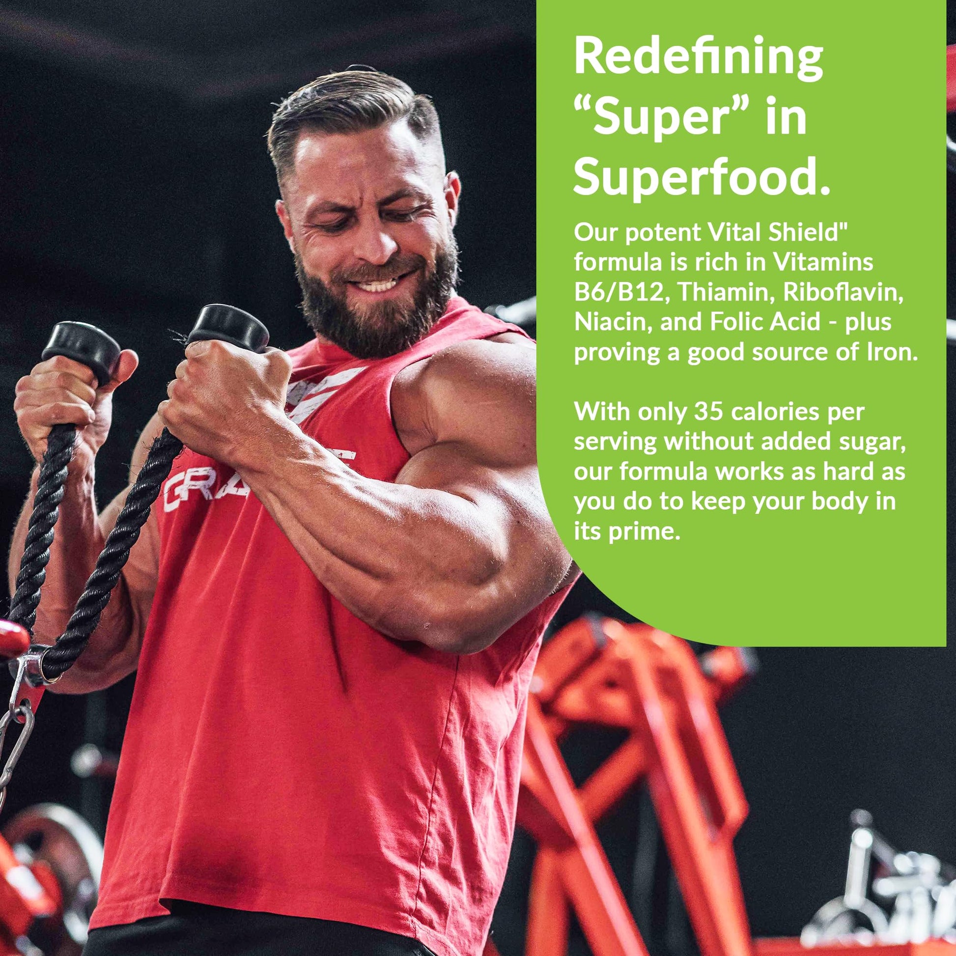 Granite Nutrition Vital Shield - USDA Organic Superfood Greens with Mushrooms & Tart Cherry – Supports Energy, Immune Function & Digestive Health – Lemon Lime Flavor (30 Servings) - dailyvitalstore