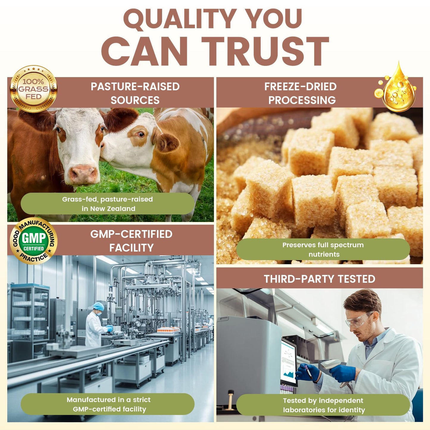 Grass Fed Beef Organ Supplement for Men - Beef Liver Capsules,Pasture Raised Beef Organs with Heart, Liver, Kidney, Spleen, Testicle & Prostate, Zinc, Selenium, Vitamin D3, Ginseng, Cordyceps - dailyvitalstore