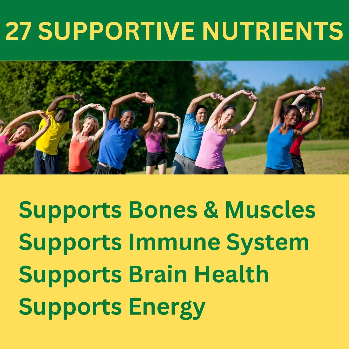 Greenfield Nutritions Halal Multivitamins for Women and Men - 60 Gelatin Free Multivitamin Tablets with 27+ Vitamin Minerals, A, B12, C, D3, Iron and Zinc - dailyvitalstore