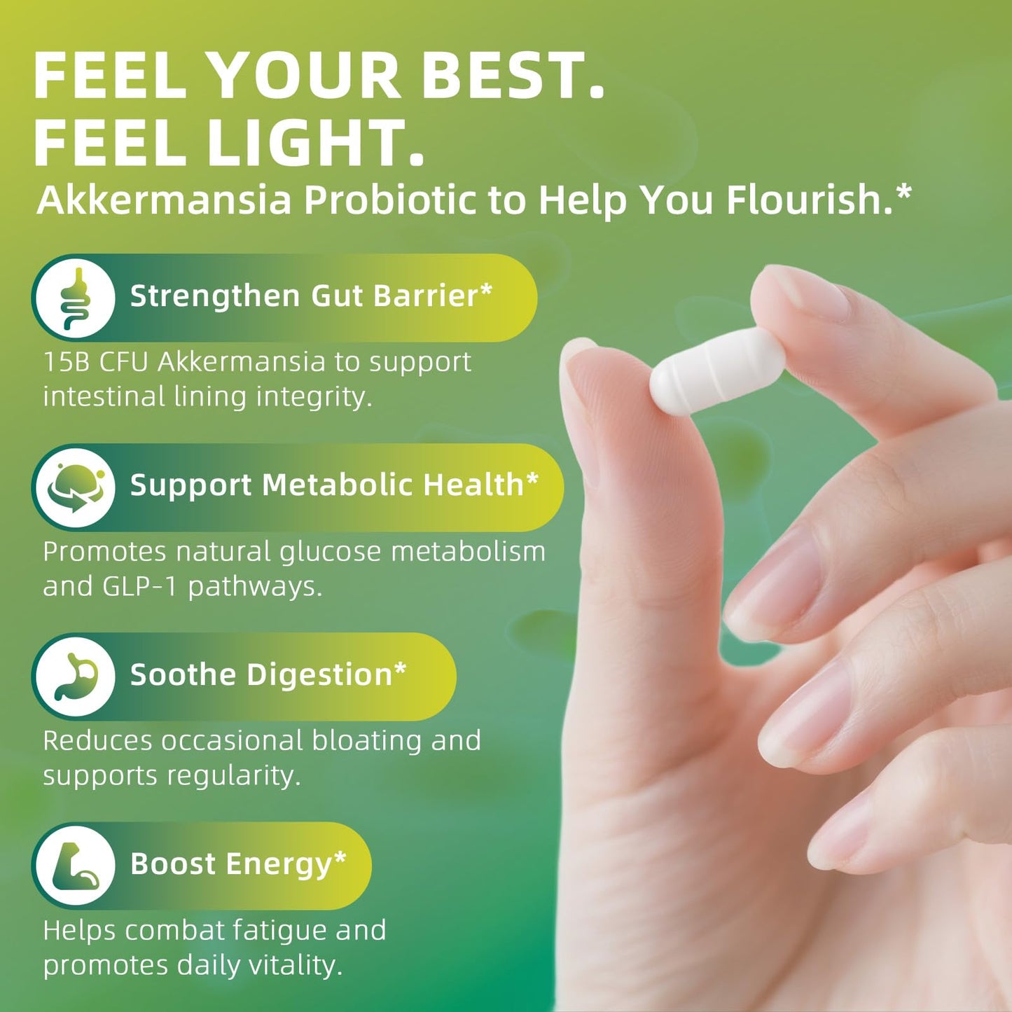 GREENPEOPLE Akkermansia Probiotics 15B CFU for Gut Function, 60CT Probiotics Supplement with Ceylon Cinnamon, Turmeric | Digestive Health & Metabolic Support - dailyvitalstore