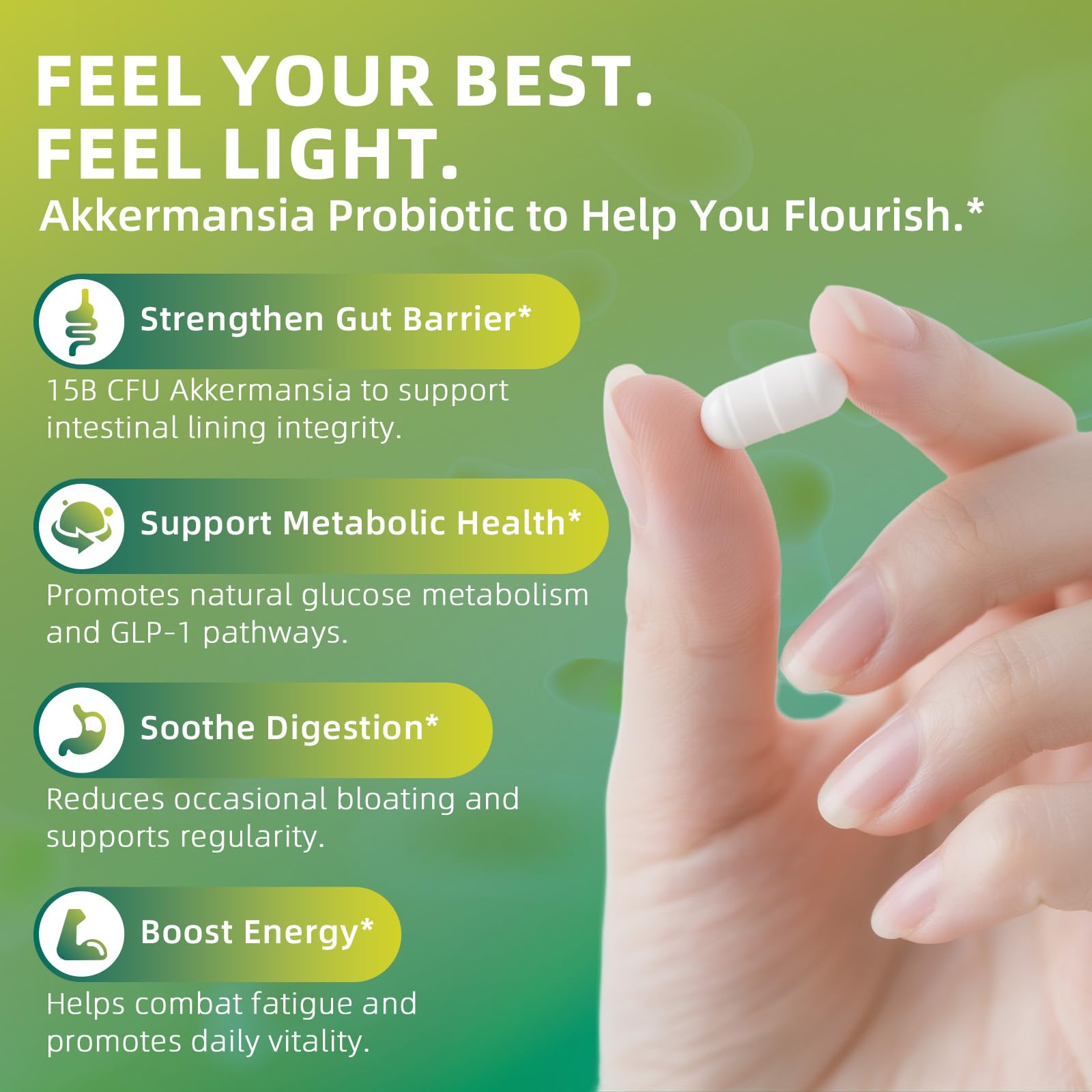 GREENPEOPLE Akkermansia Probiotics 15B CFU for Gut Function, 60CT Probiotics Supplement with Ceylon Cinnamon, Turmeric | Digestive Health & Metabolic Support - dailyvitalstore