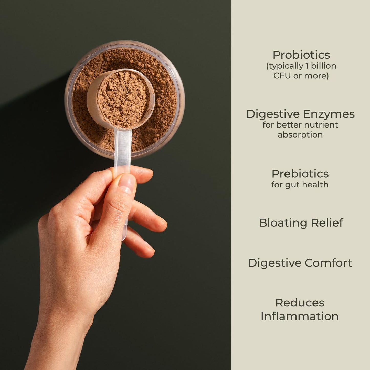 Greens Superfood Powder – USDA Organic Chocolate Flavor Cleanse & Detox Smoothie Mix – Digestive Enzymes, Immune Support, Bloating Relief, Vegan - dailyvitalstore