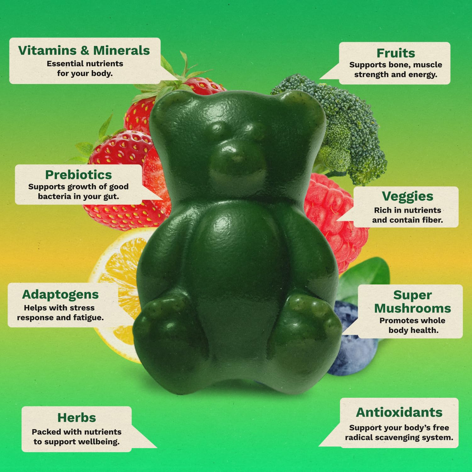 Gruns Sugar-Free Super Greens Gummies, Multivitamin Superfood Gummy Bears, Spirulina, Chlorella, Prebiotics & Fiber gummies for Digestive Health, Adaptogens Supplement, 20 Vitamins & Minerals, 10 pack - dailyvitalstore