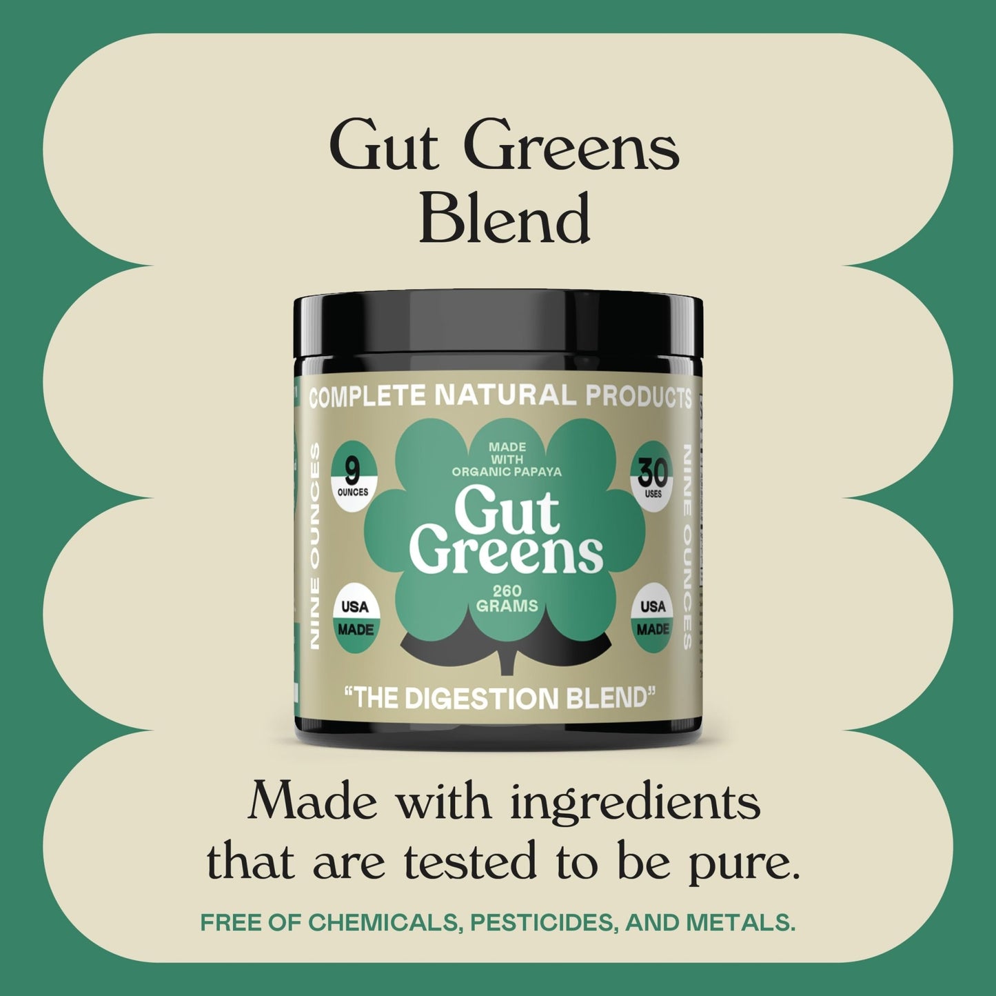 Gut Greens Superfood Powder Formula Supplement - Amazing Raw Digestive Enzyme Supplements Grass Mix, 9oz, 30 Servings - dailyvitalstore