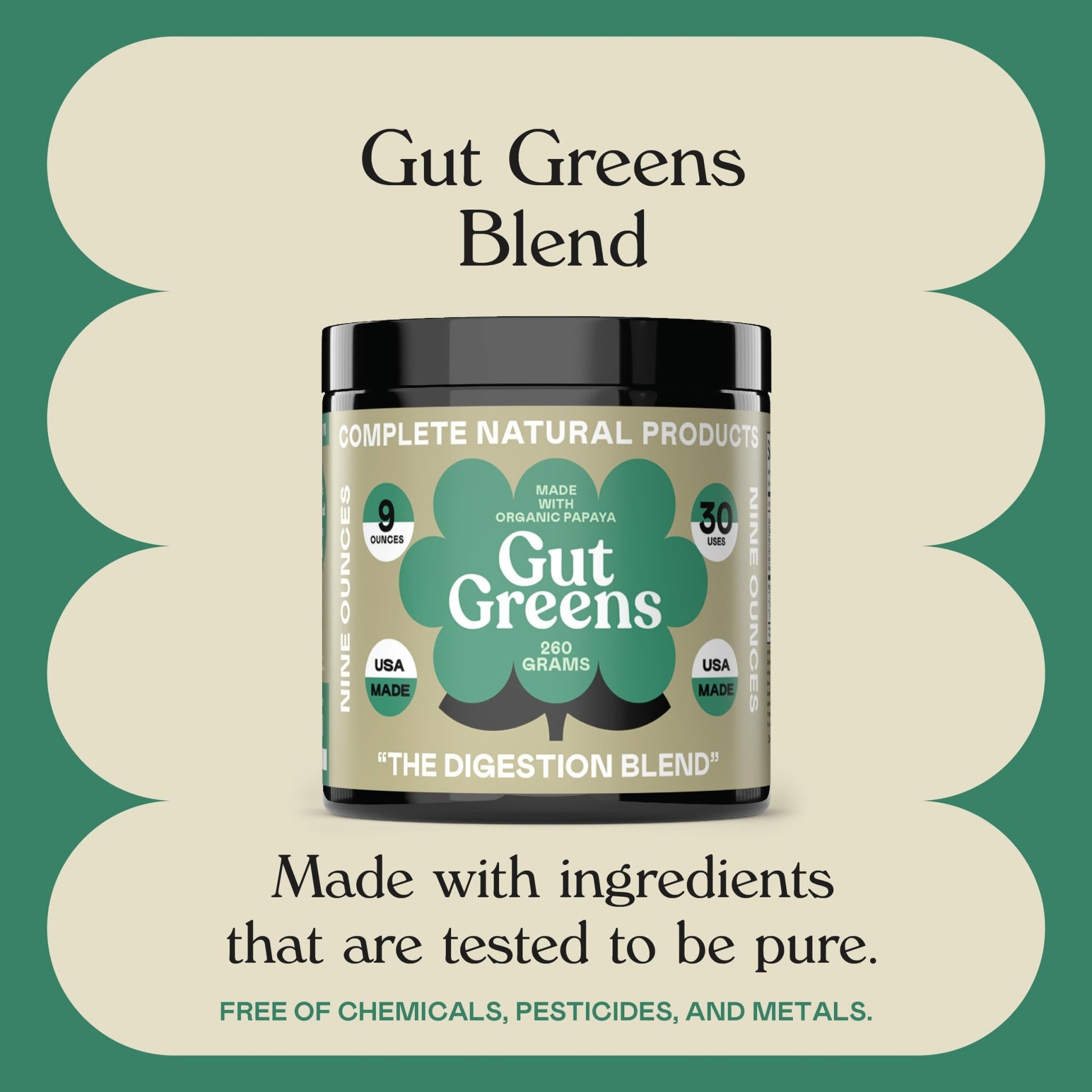 Gut Greens Superfood Powder Formula Supplement - Amazing Raw Digestive Enzyme Supplements Grass Mix, 9oz, 30 Servings - dailyvitalstore