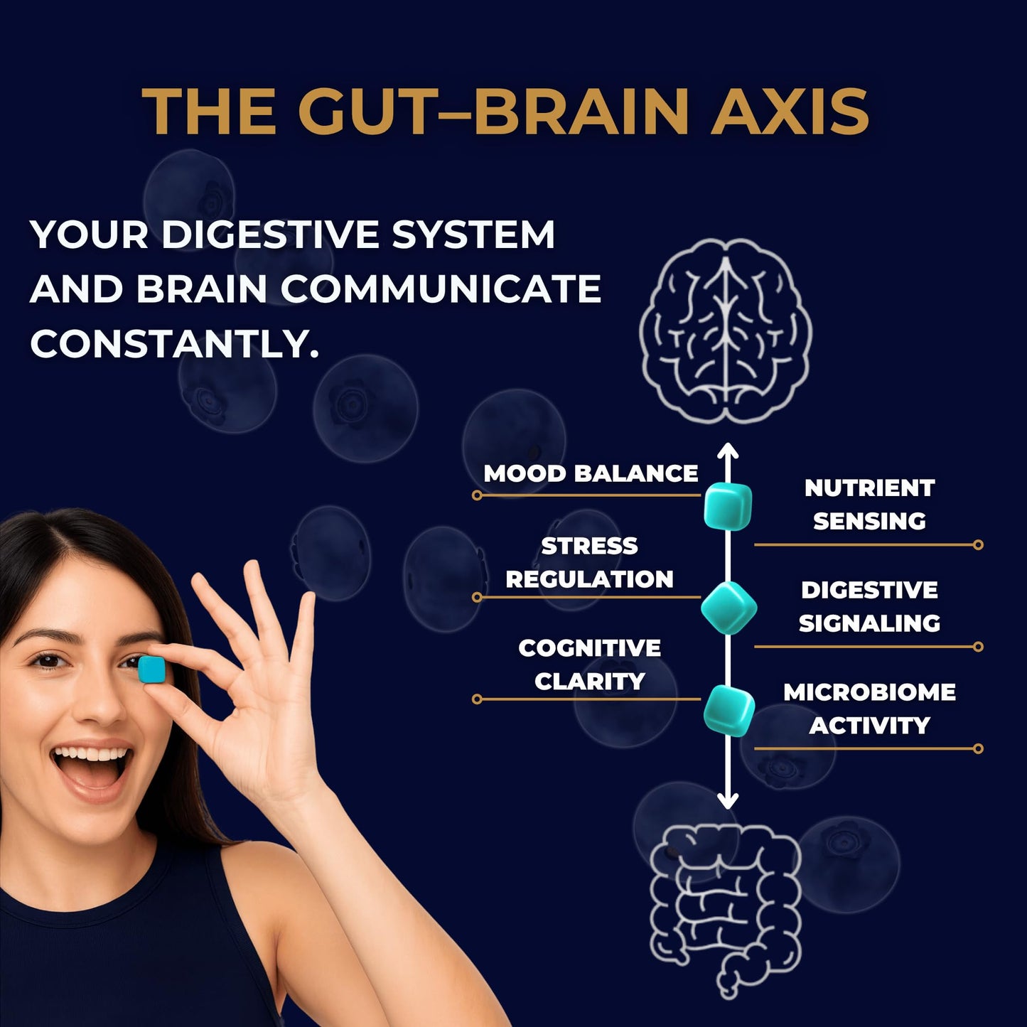 Gut Health & Bloating Relief Gummies – Digestion Support with Prebiotic Fiber, Inulin & Ashwagandha – Stress, Nervous Stomach, Sleep & Calm Support – Gut-Brain Axis Formula - dailyvitalstore