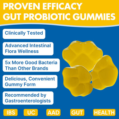 Gut Health & Probiotic Gummies, 112.5 Billion CFU, Sugar Free - 8 Strains + Prebiotics + Herbs - for Digestive, Immune, Diarrhea & Bloating - Gut Health for Women & Men - dailyvitalstore