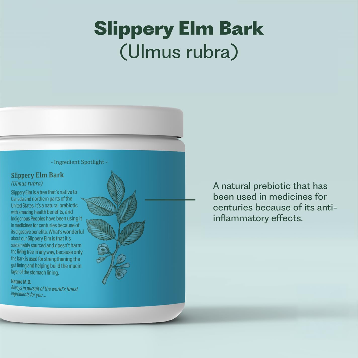 GutConnect 365 Gut Health Superfood Powder | Formulated With Slippery Elm Bark & L Glutamine | Vegan Certified | Allergen Free | Non-GMO | Soy Free | Made in the USA | 30 Servings – Vanilla Cinnamon - dailyvitalstore