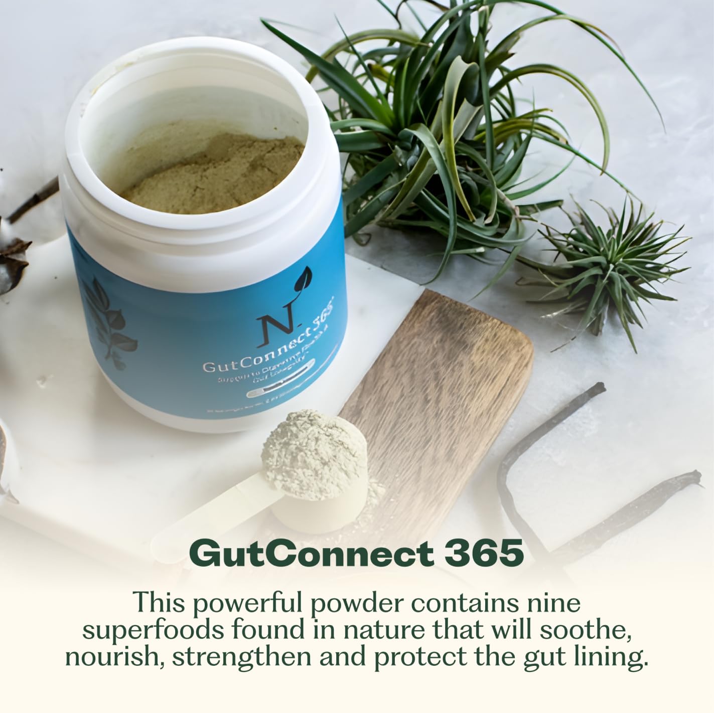 GutConnect 365 Gut Health Superfood Powder | Formulated With Slippery Elm Bark & L Glutamine | Vegan Certified | Allergen Free | Non-GMO | Soy Free | Made in the USA | 30 Servings – Vanilla Cinnamon - dailyvitalstore