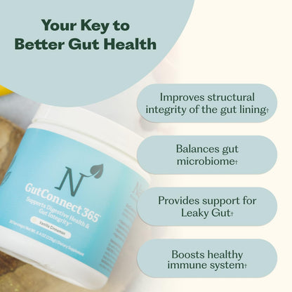 GutConnect 365 Gut Health Superfood Powder | Formulated With Slippery Elm Bark & L Glutamine | Vegan Certified | Allergen Free | Non-GMO | Soy Free | Made in the USA | 30 Servings – Vanilla Cinnamon - dailyvitalstore