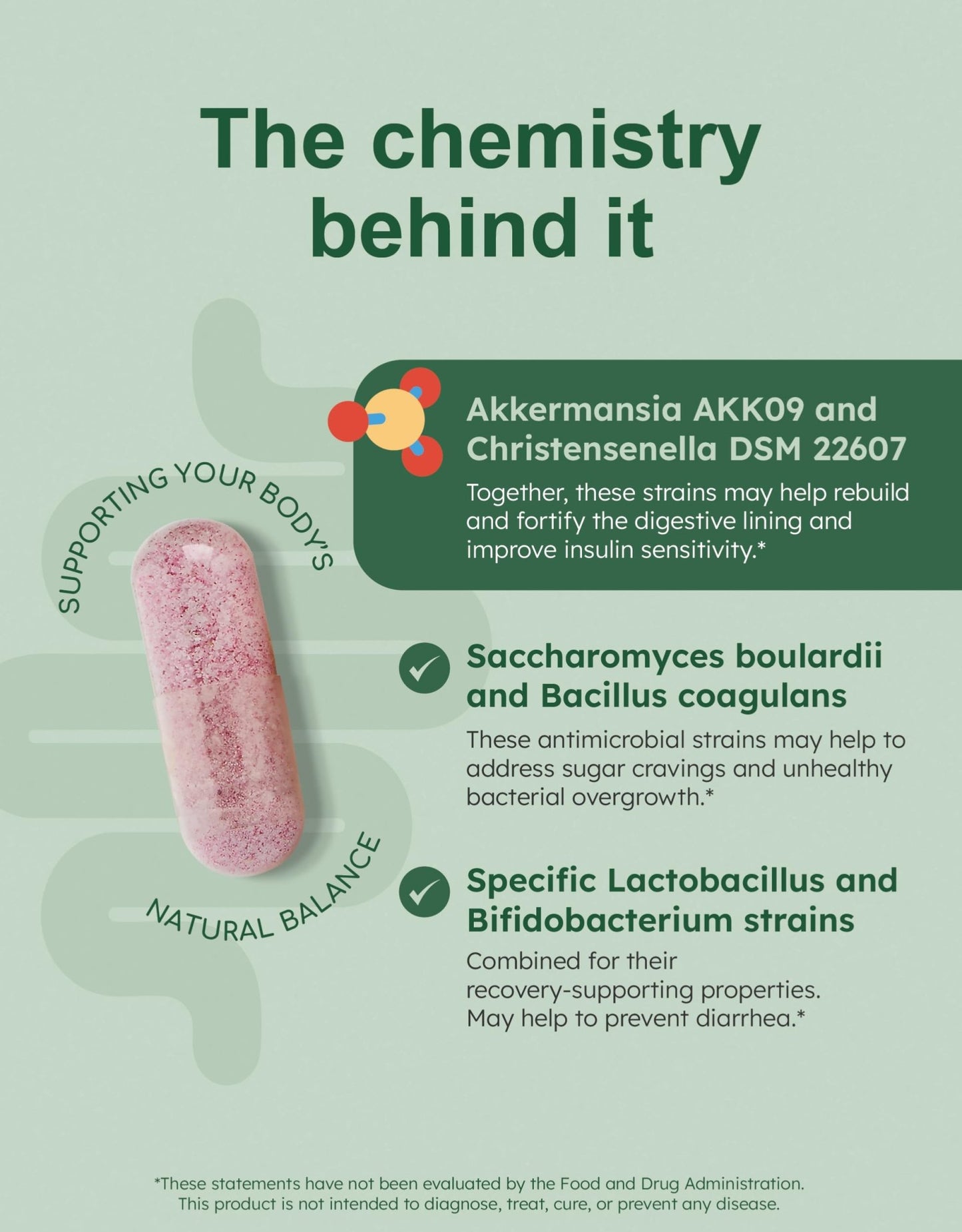 GutRx Balance – Probiotics for Women & Men with Akkermansia Probiotic & Christensenella, Alternative for Gut Health with Lactobacillus Plantarum, - dailyvitalstore