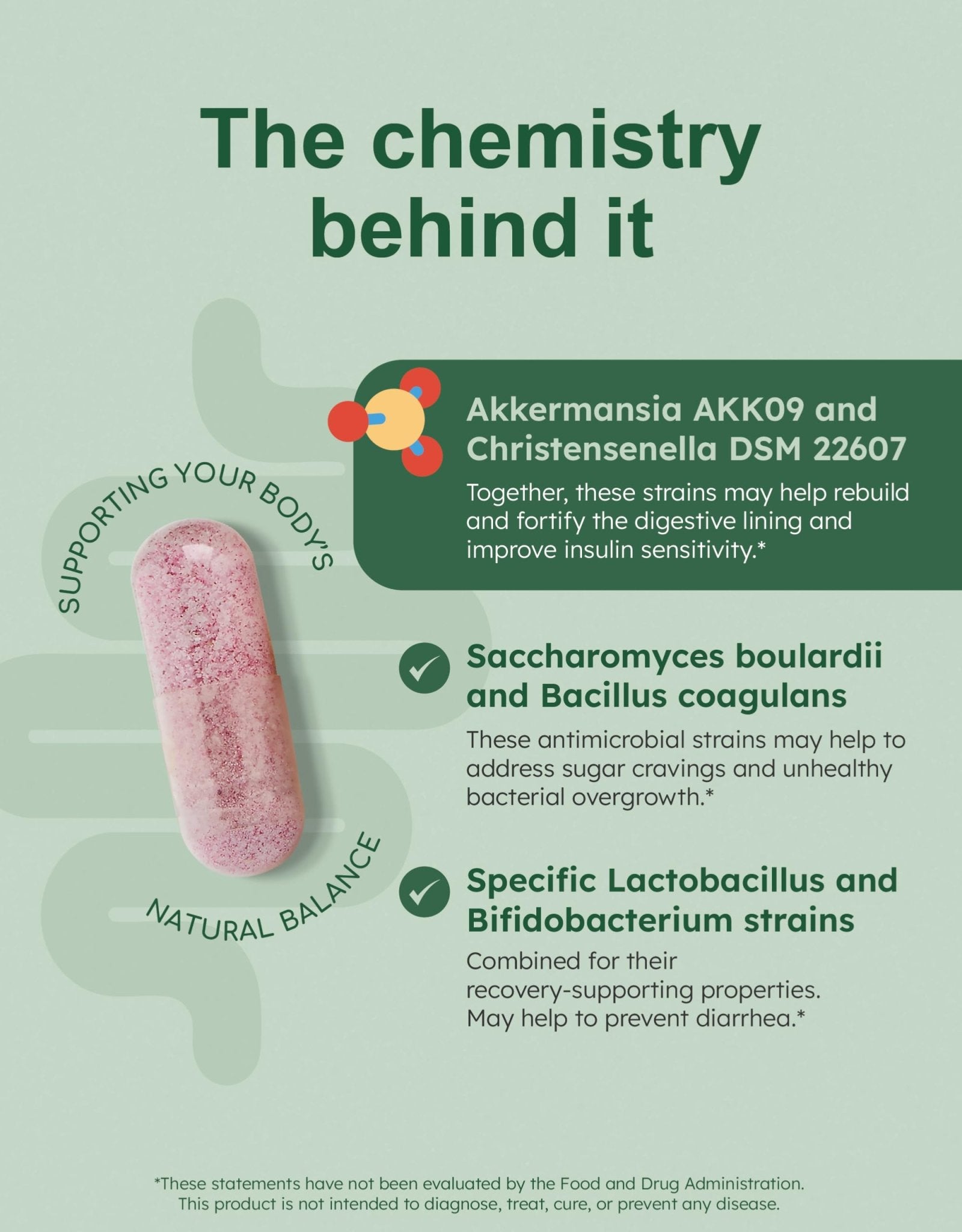 GutRx Balance – Probiotics for Women & Men with Akkermansia Probiotic & Christensenella, Alternative for Gut Health with Lactobacillus Plantarum, - dailyvitalstore