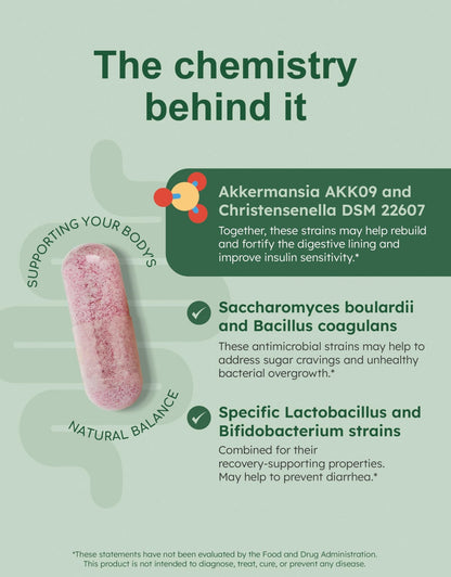 GutRx Balance – Probiotics for Women & Men with Akkermansia Probiotic & Christensenella, Alternative for Gut Health with Lactobacillus Plantarum, - dailyvitalstore