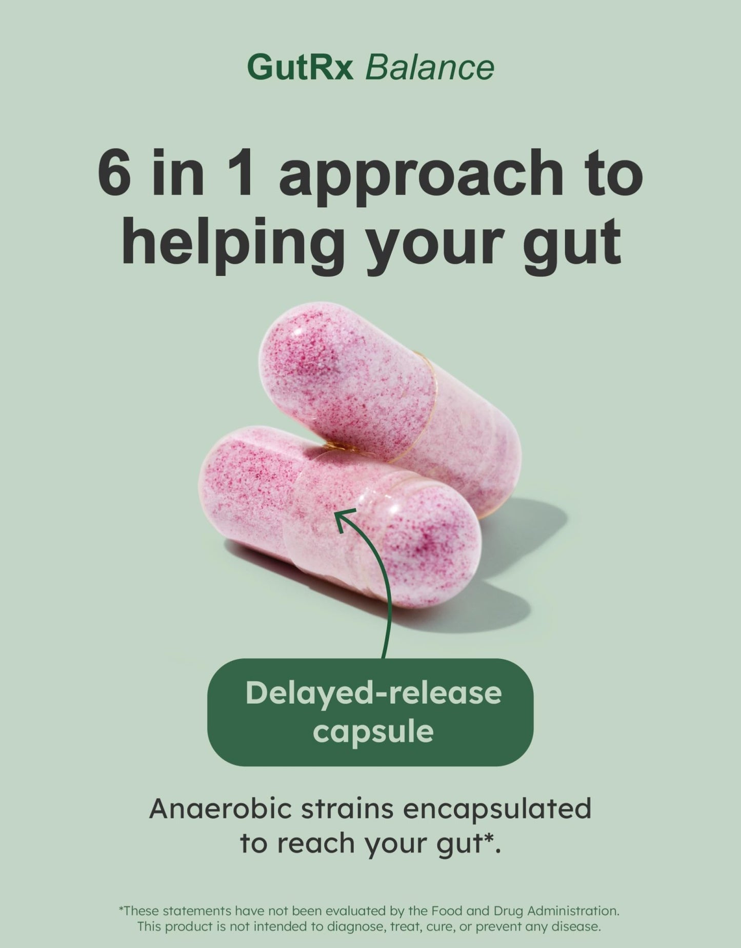 GutRx Balance – Probiotics for Women & Men with Akkermansia Probiotic & Christensenella, Alternative for Gut Health with Lactobacillus Plantarum, - dailyvitalstore