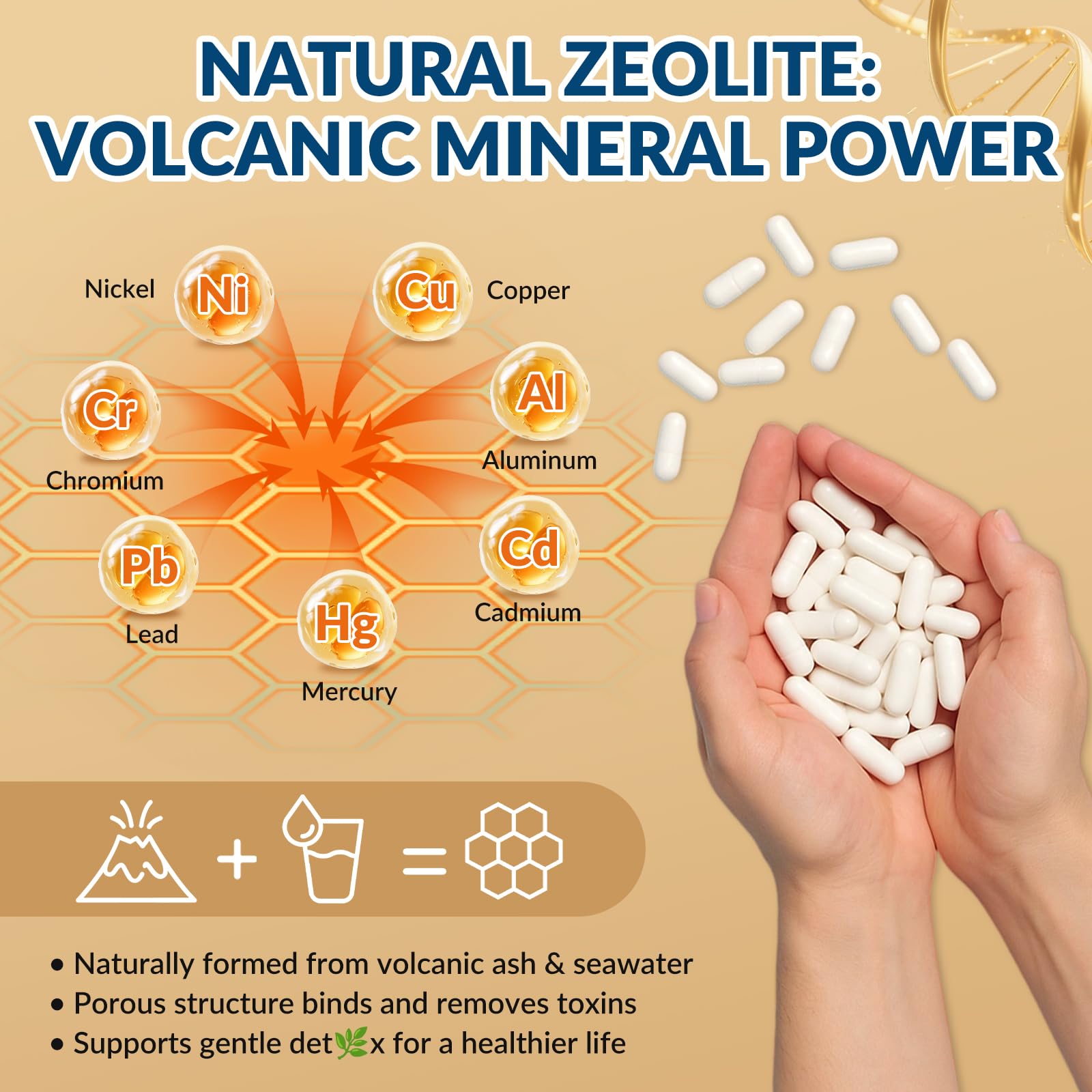 GZ HAOYUAN Zeolite Detox Capsules – Clinoptilolite Zeolite Supplement with Milk Thistle, Chlorella, Curcumin & PQQ for Gut, Liver & Full Body Detox Cleanse, - dailyvitalstore