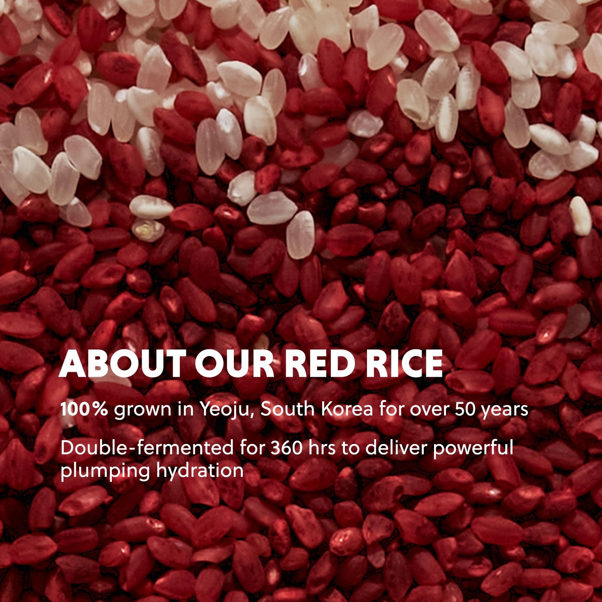 HANYUL Red Rice Hydrating Serum with Vegan Ceramide | Korean Skincare for Deep Hydration, Radiant Skin Glow, Firming & Barrier - dailyvitalstore