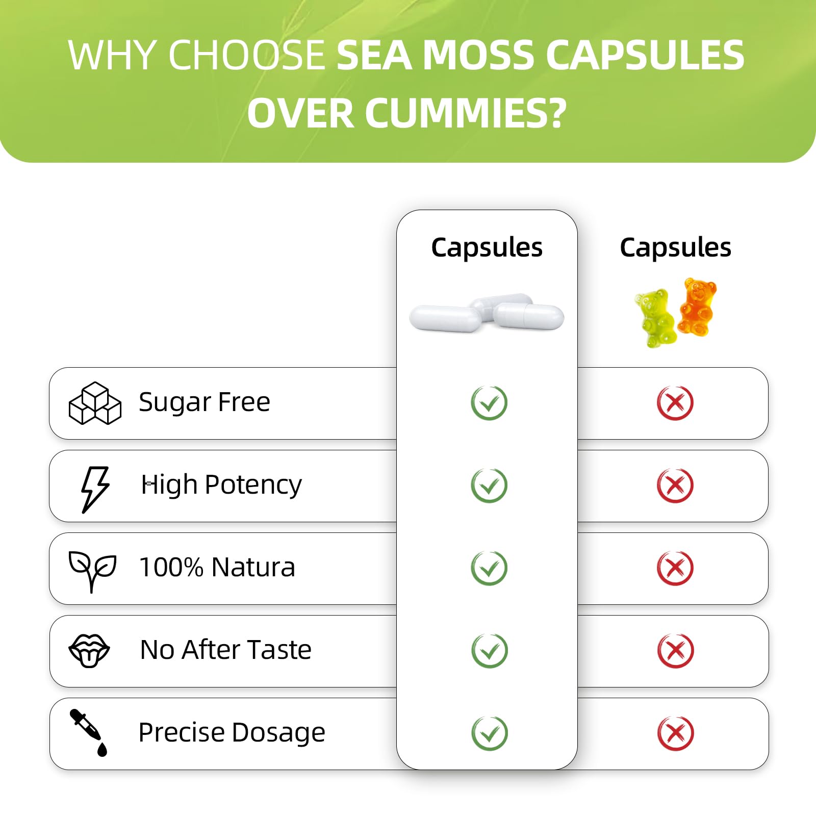 HEALOADING Sea Moss Capsules：Wildcrafted Organic Irish Seamoss & Bladderwack - Rich in Minerals, Supports Thyroid Health, Digestion, Skin & Immune System - Vegan, Non-GMO - dailyvitalstore