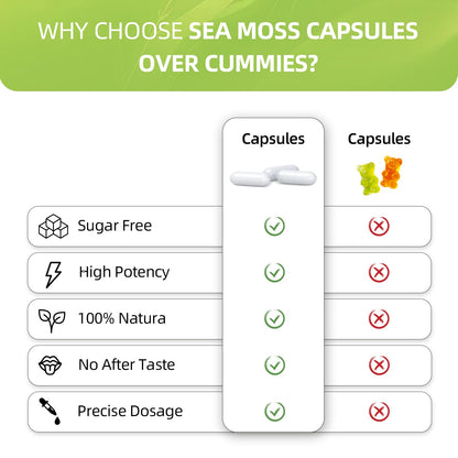 HEALOADING Sea Moss Capsules：Wildcrafted Organic Irish Seamoss & Bladderwack - Rich in Minerals, Supports Thyroid Health, Digestion, Skin & Immune System - Vegan, Non-GMO - dailyvitalstore