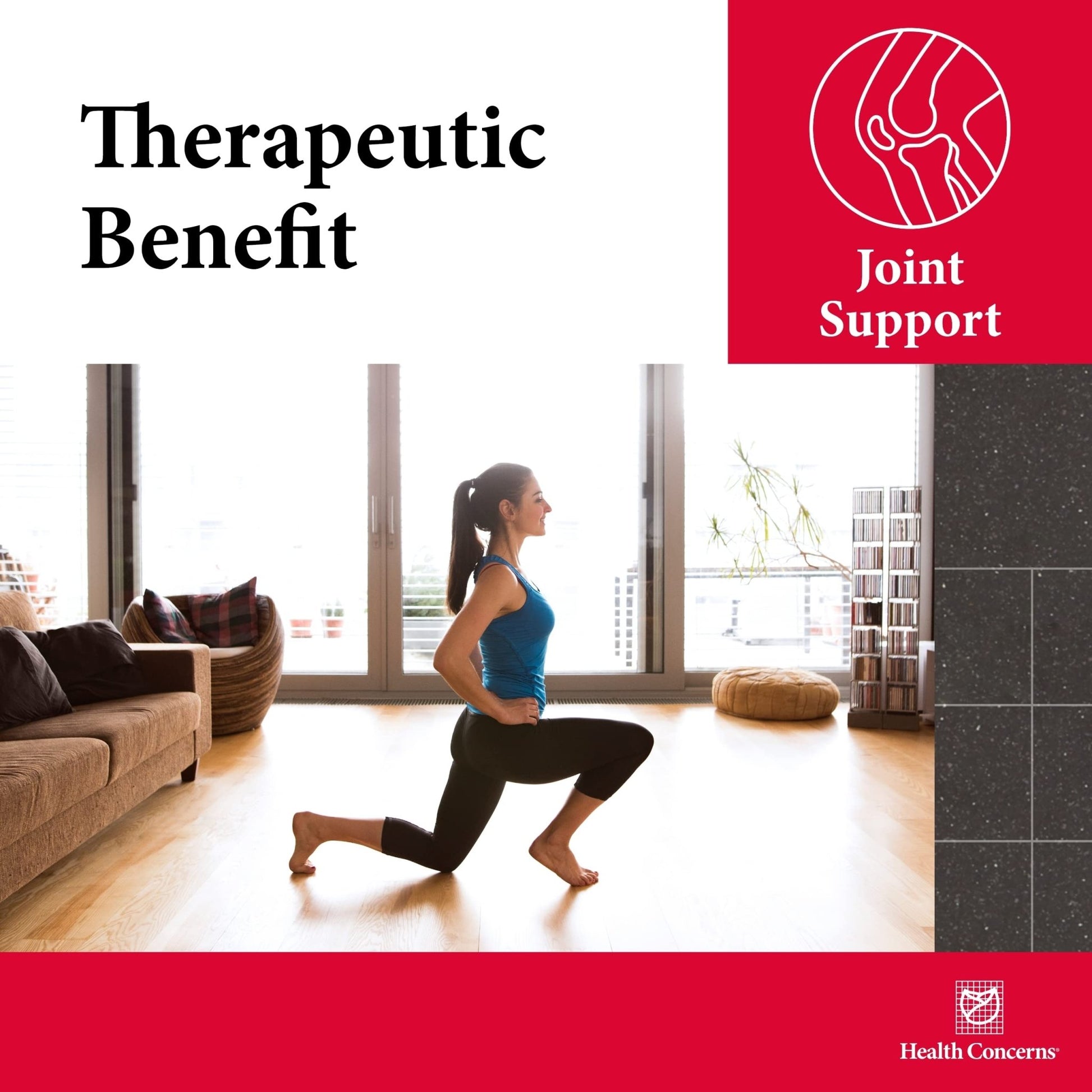 Health Concerns Mobility 3 – Joint & Muscle Support – Herbal Stiffness Supplement for Men & Women – Dong Quai, Ginseng, Fo-Ti, Loranthus & Ginger Formula – Chinese Support – 90 Capsules - dailyvitalstore