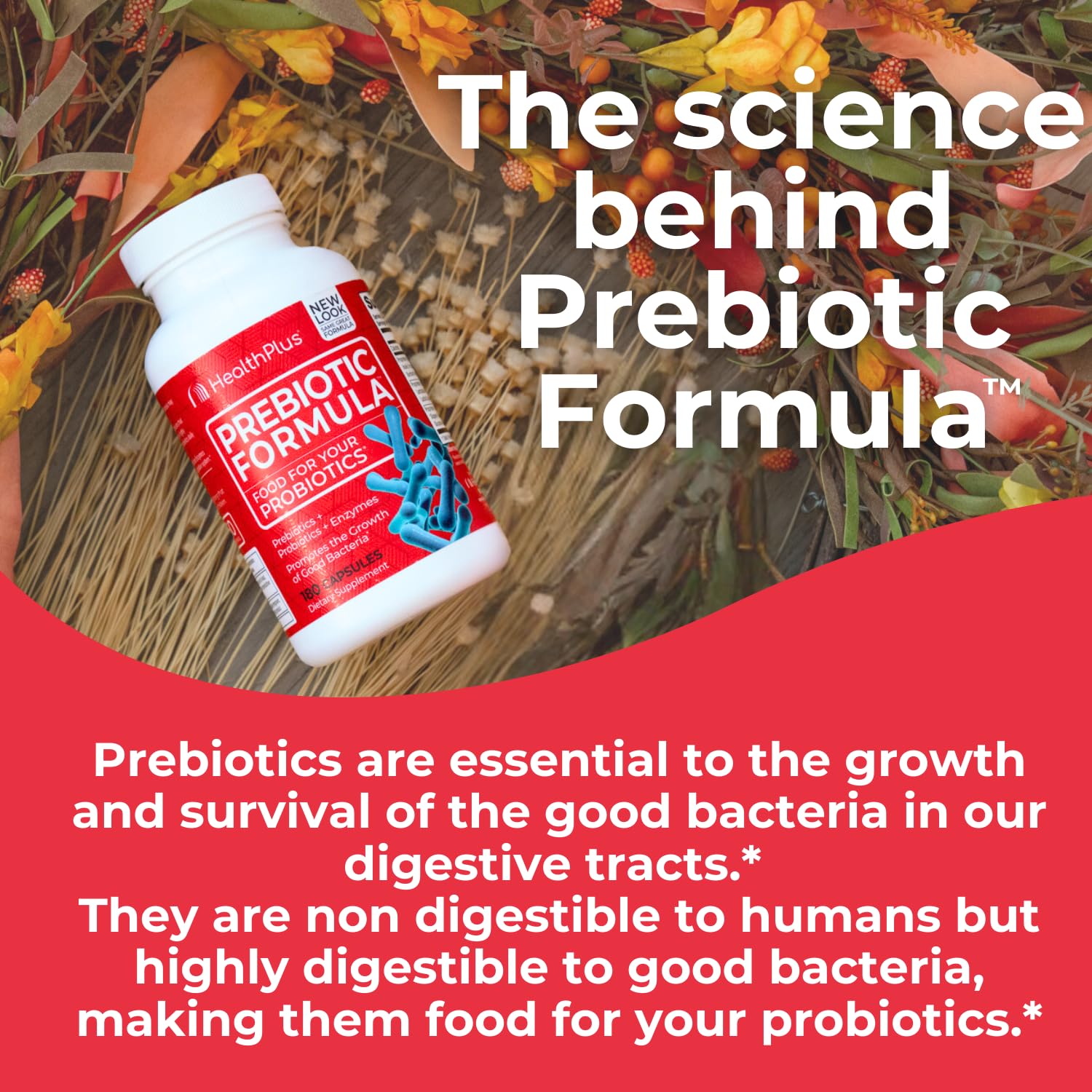 Health Plus Prebiotic Formula - Probiotics + Prebiotics + Digestive Enzymes - Gluten Free, Dairy Free, Natural Herbal Ingredients - dailyvitalstore