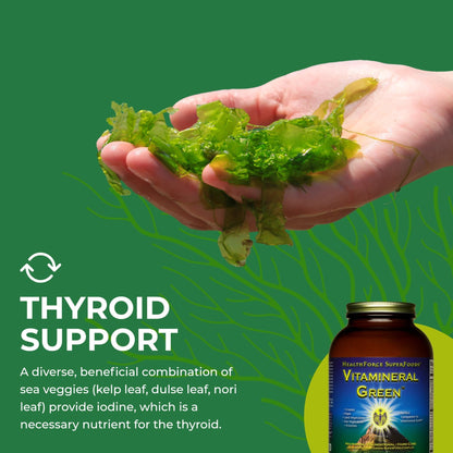 HEALTHFORCE SUPERFOODS Vitamineral Green - Mineral Supplement for Immune & Thyroid Support - Green Powder Supplement with Ingredients from The Land - Gluten-Free & Vegan - 500 Grams - dailyvitalstore