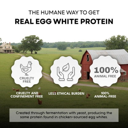 Healthier Comforts Animal-Free Egg White Protein Powder | Make Vegan Egg Omelets, Angel Food Cake, Meringue, Protein Shakes | Whips and Binds Just Like Traditional Egg Whites (8 oz) - dailyvitalstore
