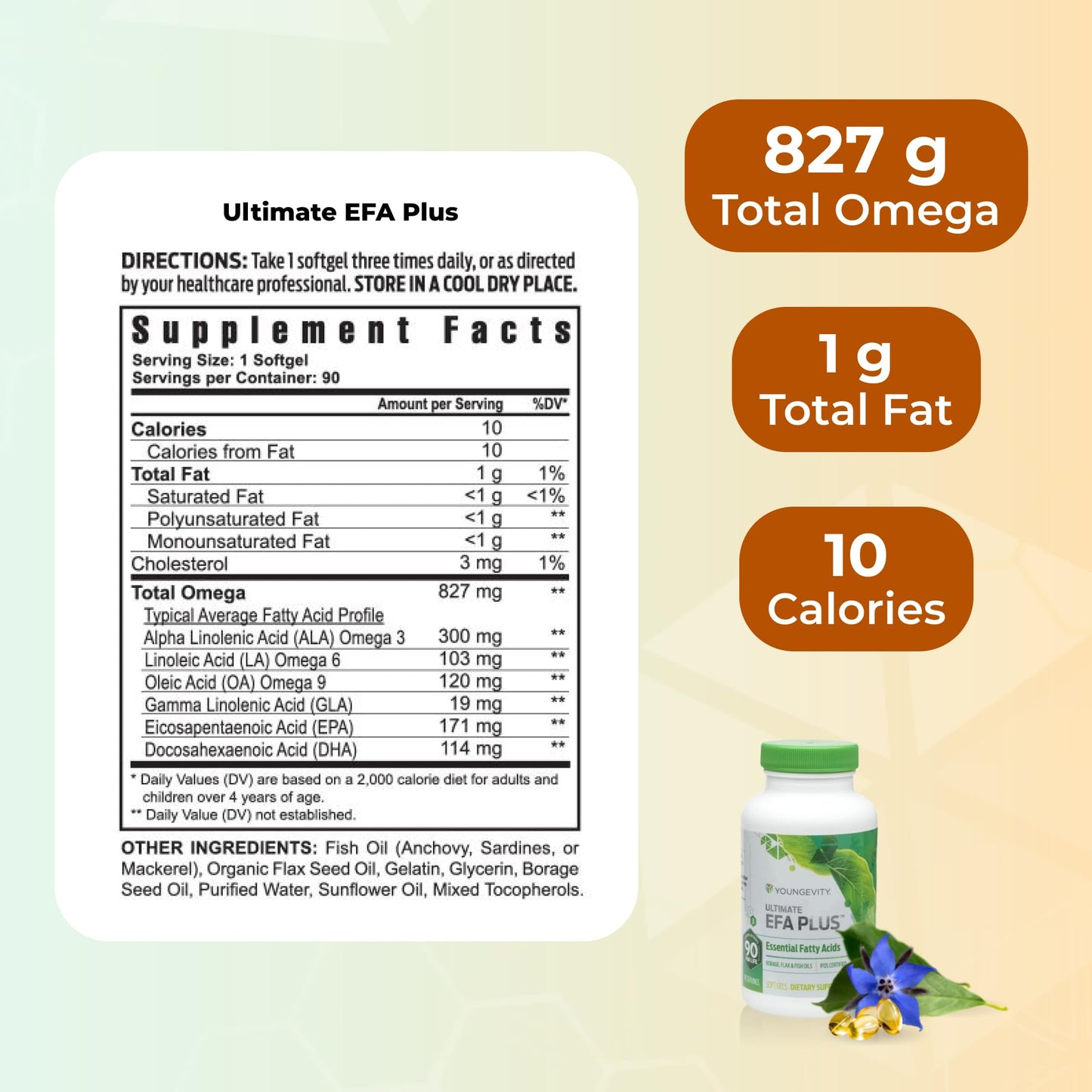 Healthy Body Start Pak 2.0 - BTT 2.0 Tablets (Liq) - dailyvitalstore