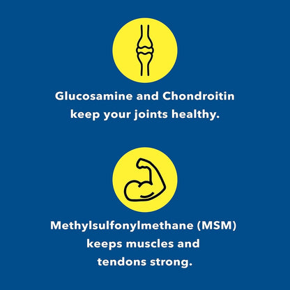 Healthy Joints System Glucosamine Chondroitin MSM Supplement for Joint & Bone Health - 120 Capsules | Joint Support & Discomfort Relief for Back, Knees, Hands - dailyvitalstore