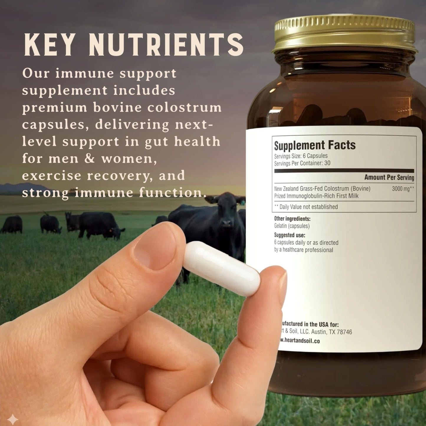 HEART & SOIL 100% Grass Fed & Finished Colostrum Supplement from Regenerative Cattle for Gut, Muscle & Immune Health – 3000mg Bovine Colostrum Capsules - Gut Health for Men & Women –180 Capsules - dailyvitalstore
