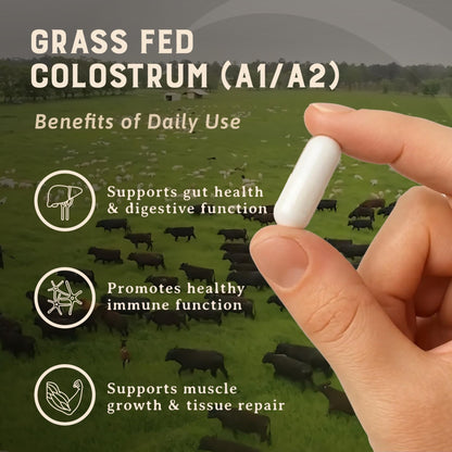 HEART & SOIL 100% Grass Fed & Finished Colostrum Supplement from Regenerative Cattle for Gut, Muscle & Immune Health – 3000mg Bovine Colostrum Capsules - Gut Health for Men & Women –180 Capsules - dailyvitalstore