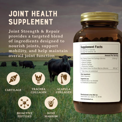 Heart & Soil 100% Grass Fed & Finished Joint Support Supplement from Regenerative Cattle with Trachea, Scapula & Bone Marrow – Supports Joint Strength & Mobility – 3000mg – Glass Bottle – 180 Capsules - dailyvitalstore