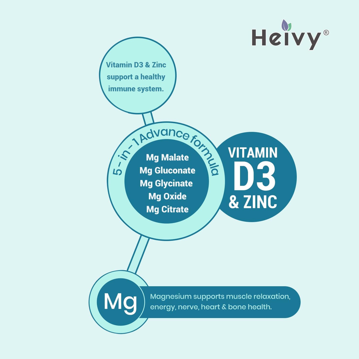 Heivy Magnesium Complex, Magnesium Glycinate, Citrate, Malate, Oxide, Gluconate with Zinc and Vitamin D3, Magnesium Supplement for Muscle, Nerve, Heart, Bone Support, High Absorption, 90 Tablets - dailyvitalstore