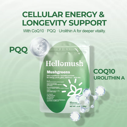 Hellomush Super Greens Powder Superfood, Daily Green Powder Supplement with Probiotics Drink Mix for Men & Women, Blend of Greens, Mushrooms, Vitamins, Probiotics and Cellular Nutrients - dailyvitalstore