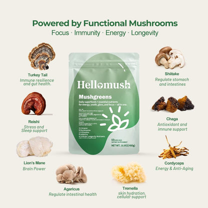 Hellomush Super Greens Powder Superfood, Daily Green Powder Supplement with Probiotics Drink Mix for Men & Women, Blend of Greens, Mushrooms, Vitamins, Probiotics and Cellular Nutrients - dailyvitalstore